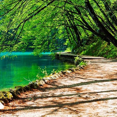 Plitvička Jezera Plitvicka Kuca D - Plitvice Lakes מראה חיצוני תמונה